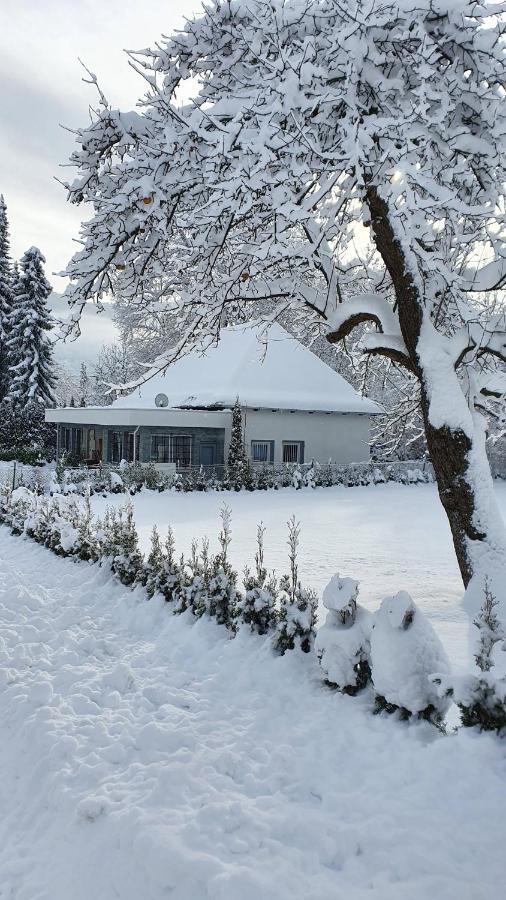 Bambu Lodge @ Ossiachersee Bodensdorf Kültér fotó
